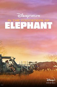 InthefootstepsofElephants