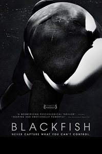 blackfish copy