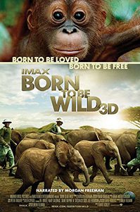 born_to_be_wild